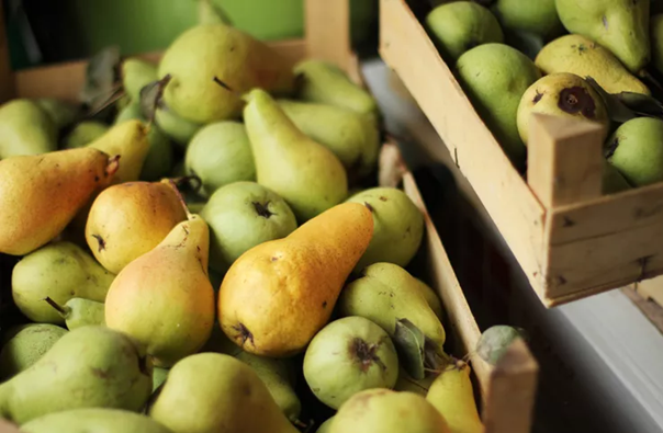 Loi ich suc khoe an tuong cua qua le