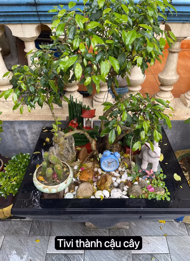 Cụ ông U85 "hô biến" đồ cũ thành sản phẩm "có 1 không 2" - Hình 7 Cu ong U85