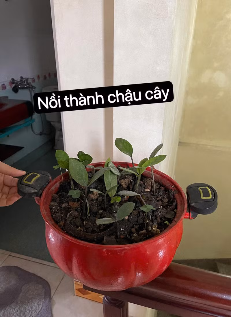 Cụ ông U85 "hô biến" đồ cũ thành sản phẩm "có 1 không 2" - Hình 8 Cu ong U85