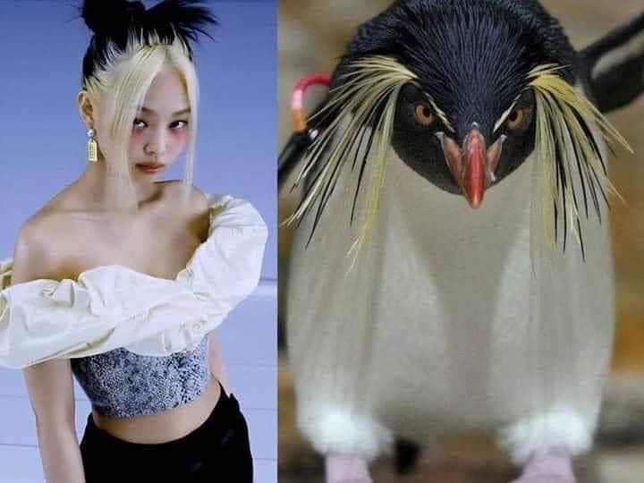 Trùm cuối không làm mọi người thất vọng. Hãy tìm điểm khác biệt giữa hai bức ảnh.