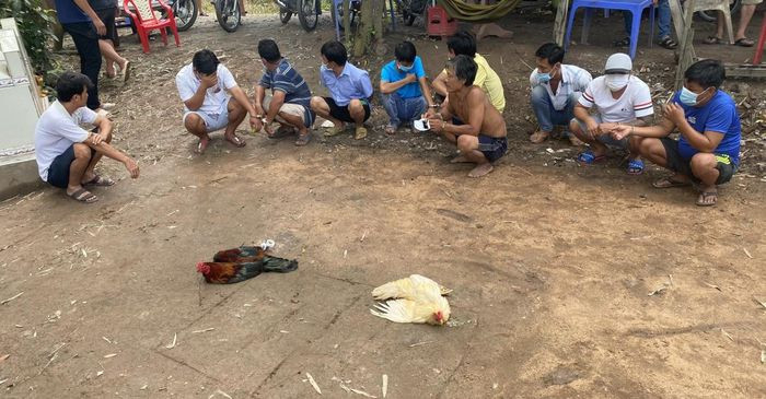  Triệt xóa tụ điểm đá gà ăn tiền giữa mùa dịch: Ngày 1/9, Công an huyện Chợ Mới, tỉnh An Giang cho biết, đang củng cố hồ sơ xử lý vụ đánh bạc dưới hình thức đá gà ăn tiền liên quan đến 10 đối tượng, phát hiện tại khu đất trống thuộc xã Long Điền B. Tại hiện trường, Công an thu giữ: 2 con gà đá, 7 triệu đồng... 