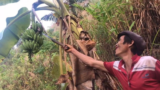 Không có tiền chữa trị cho anh trai, ông Tri đưa anh về nhà chữa theo phương pháp đông y. 