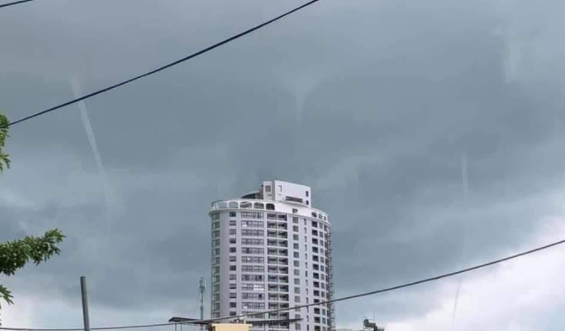 Giai ma hien tuong 3 voi rong cung xuat hien o Nha Trang-Hinh-2