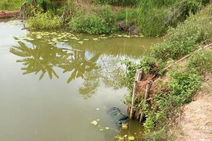  Thi thể người phụ nữ nổi lên dưới ao nước: Ngày 6/9, UBND xã Nghĩa Bình, huyện Tân Kỳ, tỉnh Nghệ An, cho biết, chiều 5/9, bà V.T T. (SN 1971, người địa phương) điều khiển xe máy rời khỏi nhà. Chiều muộn cùng ngày, một số người dân đi chăn trâu nhìn thấy đôi dép nổi trên mặt nước. Khi tìm kiếm, mọi người phát hiện thi thể bà T.