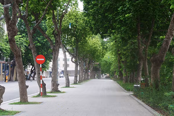 Trước đó, ngày 1/9, Bí thư Thành uỷ Hà Nội Đinh Tiến Dũng đã ký ban hành Chỉ thị số 06-CT/TU về việc tiếp tục nâng cao hiệu quả phòng chống dịch COVID-19 của thành phố. 