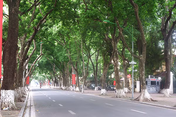 Chỉ thị được ban hành trong bối cảnh TP.Hà Nội đã trải qua 40 ngày thực hiện 3 đợt giãn cách xã hội, tình hình diễn biến của dịch bệnh ngày càng phức tạp, việc kiểm soát dịch bệnh ở một số địa phương chưa vững chắc, có nơi còn biểu hiện lơi lỏng, còn có hiện tượng "chặt ngoài, lỏng trong" 