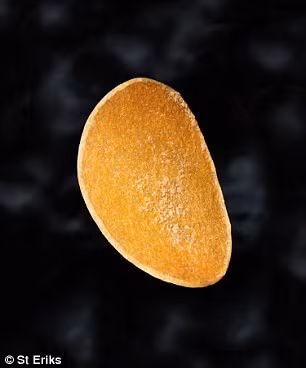 Tai sao bim bim khoai tay gia 250.000 dong mot mieng-Hinh-5