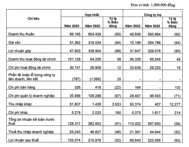 Dia oc Sai Gon doanh thu giam 84,8%, khong chia co tuc 2023-Hinh-2