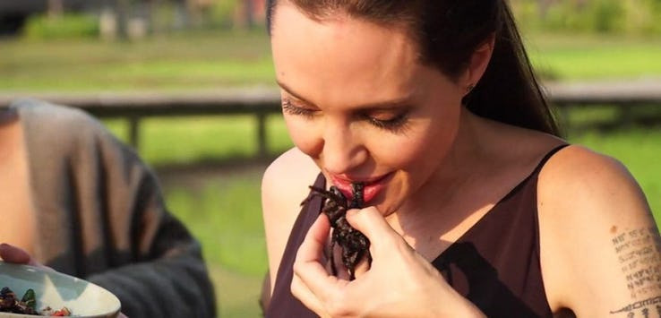 Thời gian đầu sau khi chia tay, Angelina bắt đầu học nấu ăn để có thể nấu ăn cho 6 đứa con của mình.