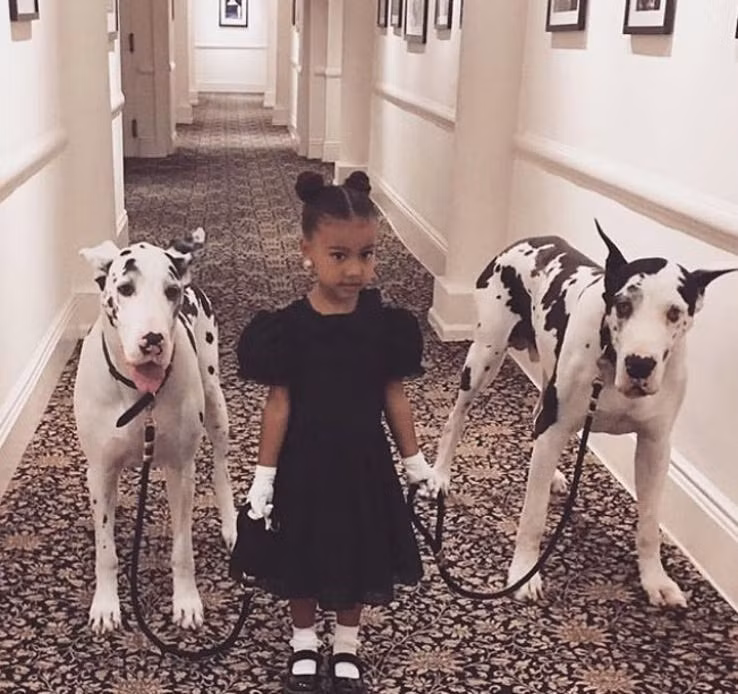 Cô bé cũng được bố mẹ sắm cho bông tai kim cương. Giá của chúng khoảng 50.000 USD. Ảnh: Kim Kardashian Instagram.