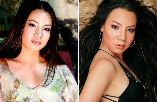 Gương mặt của nữ ca sĩ thời mới vào nghề, khi chưa đụng tới "dao kéo" được nhiều người nhận xét là không quá sắc nét nhưng ưa nhìn, sáng sân khấu và đậm chất Á Đông.