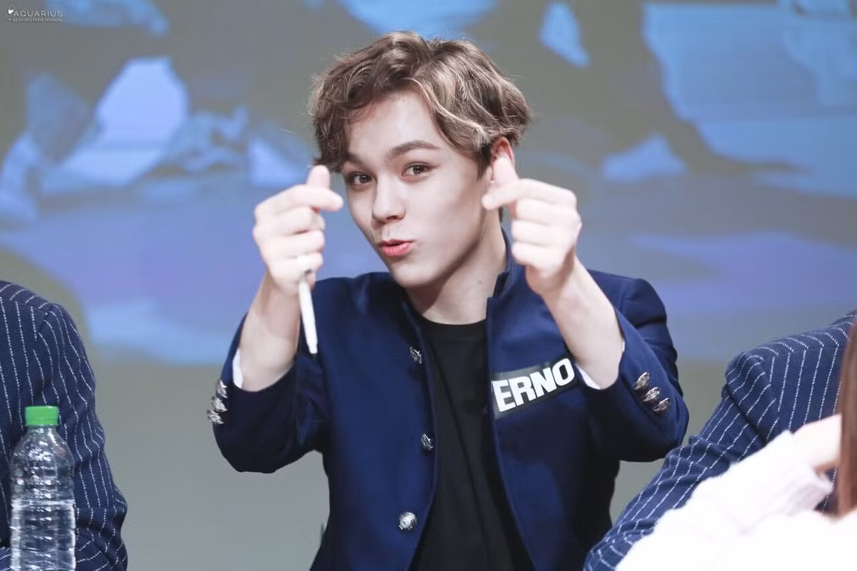 Tháng 4/2014, Seventeen Vernon chia sẻ với người hâm mộ bộ phim "Moonlight" nói về cộng đồng LGBT mà anh đã xem với mẹ mình.