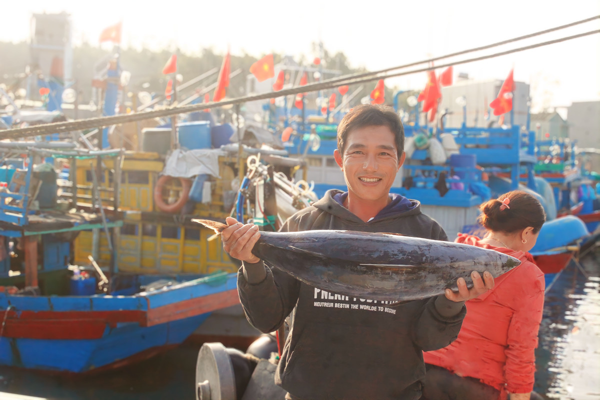 Chuyen bien cuoi nam cho theo day tom ca cua ngu dan Quang Ngai