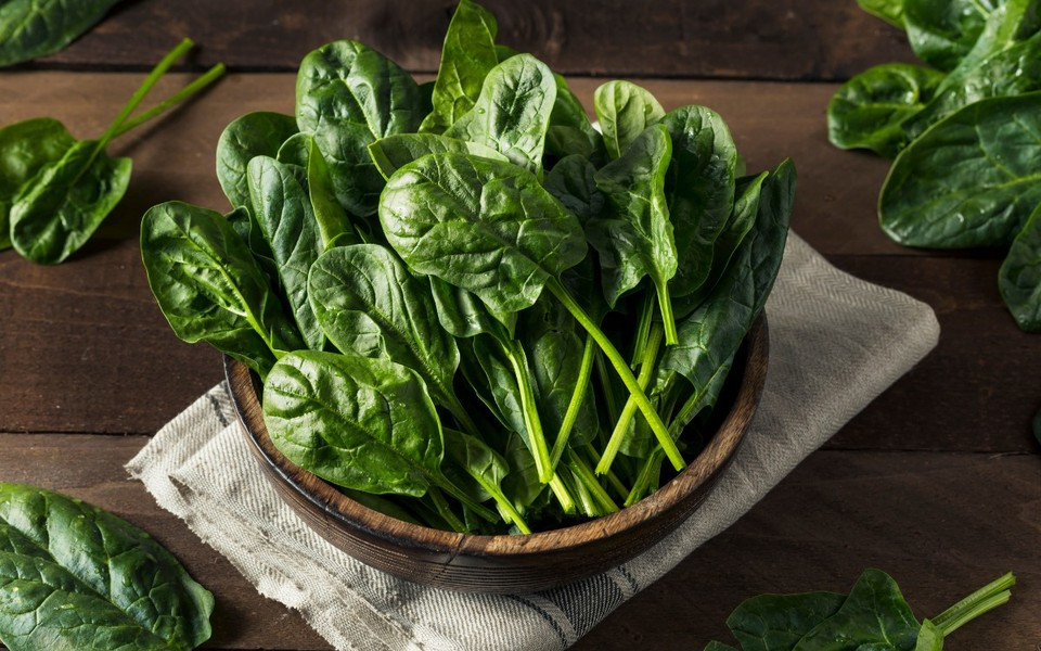 Rau cũng tăng cường miễn dịch, bảo vệ cơ thể khỏi tác nhân của môi trường như vi khuẩn, virus, nấm…