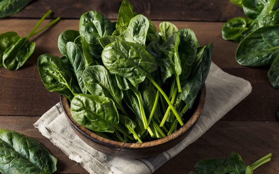 Rau cũng tăng cường miễn dịch, bảo vệ cơ thể khỏi tác nhân của môi trường như vi khuẩn, virus, nấm…