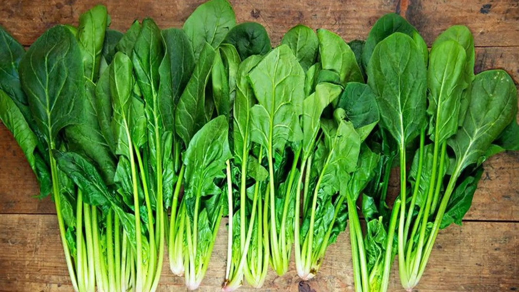 Nghiên cứu chỉ ra những phụ nữ có nồng độ carotenoid trong huyết tương cao sẽ giảm 15-20% nguy cơ ung thư vú so với nhóm có nồng độ thấp hơn