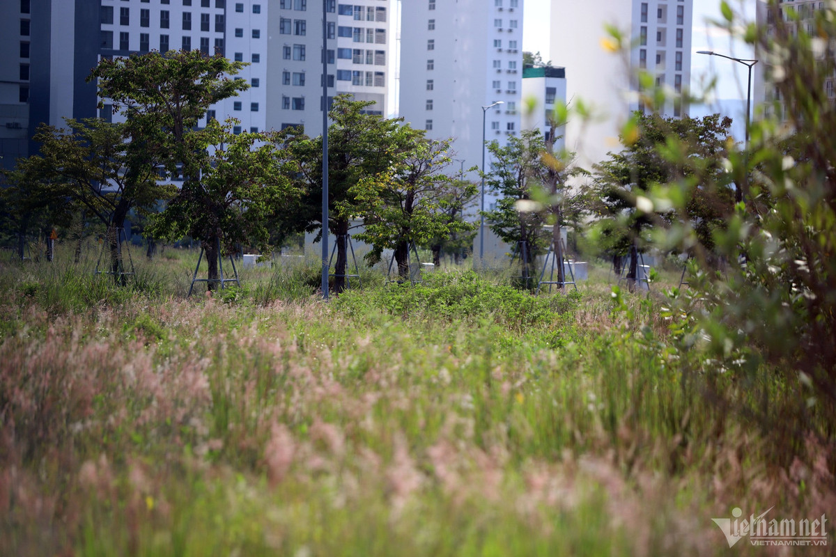 Bên cạnh đó, Thanh tra Chính phủ cũng đã phát hiện tồn tại, vi phạm trong quá trình giao đất để dự án khu trung tâm đô thị, thương mại, dịch vụ, tài chính du lịch Nha Trang. Các sai phạm liên quan đến các dự án, đất đai tại sân bay Nha Trang đã được Công an tỉnh Khánh Hòa chuyển hồ sơ cho Cơ quan điều tra thuộc Bộ Quốc phòng xem xét, xử lý theo thẩm quyền. (Ảnh: Vienamnet).