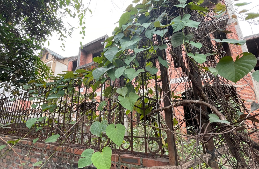 Một số căn thô còn có dấu hiệu xuống cấp. Dây leo, cỏ dại mọc um tùm nhìn rất hoang tàn...