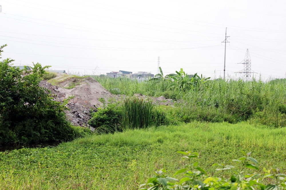 Cong ty Xuyen A, Delta, An Thanh… om dat khong trien khai