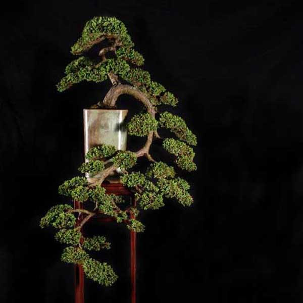 Đưa sinh vật cảnh thành ngành kinh tế sinh thái có giá trị cao - Hình 2 Dua sinh vat canh thanh nganh kinh te sinh thai co gia tri cao-Hinh-2