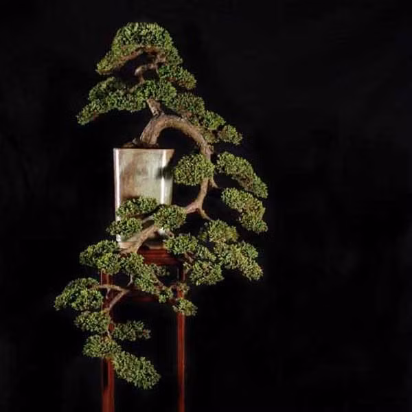 Dua sinh vat canh thanh nganh kinh te sinh thai co gia tri cao-Hinh-2