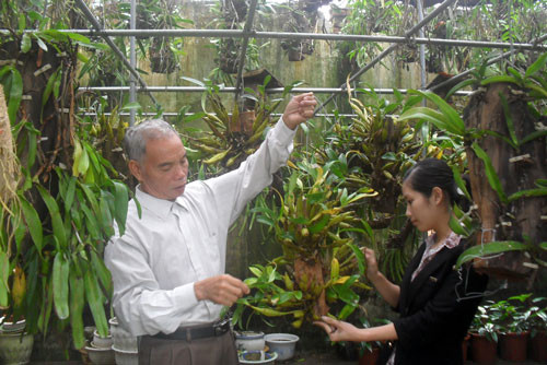 Đưa sinh vật cảnh thành ngành kinh tế sinh thái có giá trị cao - Hình 4 Dua sinh vat canh thanh nganh kinh te sinh thai co gia tri cao-Hinh-4