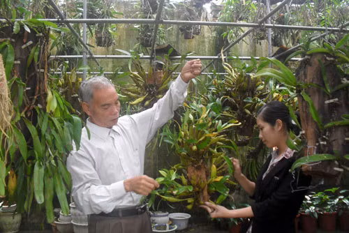 Dua sinh vat canh thanh nganh kinh te sinh thai co gia tri cao-Hinh-4