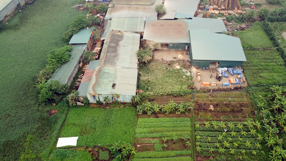 Nha xuong “moc” tren dat nong nghiep o Trung Phan: “Neu khong do... toi xin nghi viec”-Hinh-2