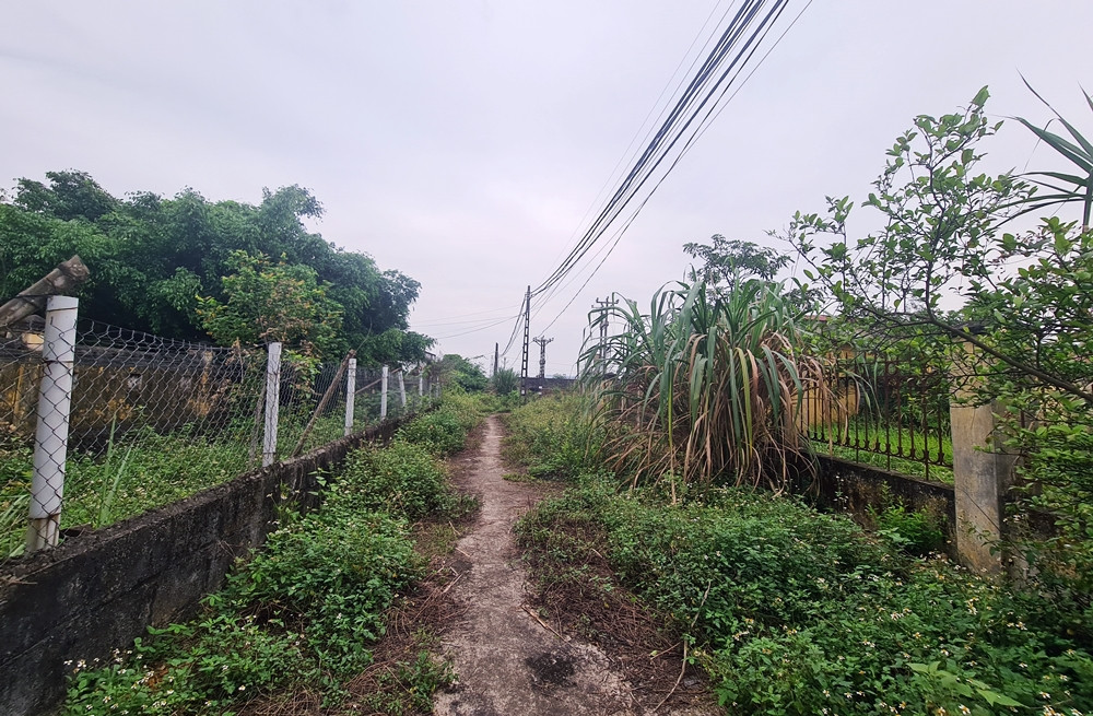 Cỏ dại mọc um tùm quanh nhà máy nước tiền tỷ bỏ hoang ở xã Yên Quang.