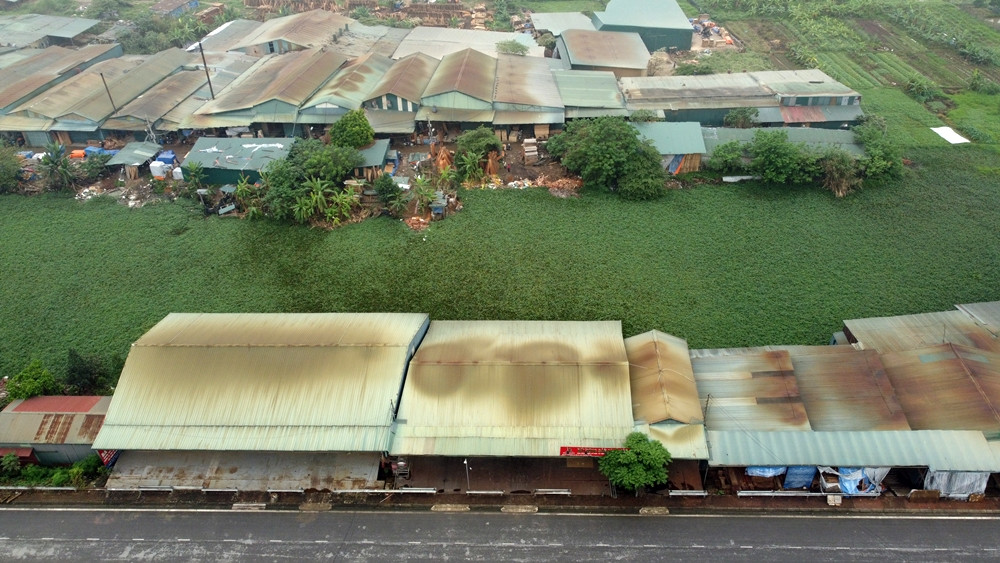 Tại khu vực chân đê Quai thuộc xã Liên Hà (đối diện khu Trũng Phan), cũng có nhiều nhà xưởng sản xuất gỗ xây dựng trên đất nông nghiệp nhưng đang được tháo dỡ.