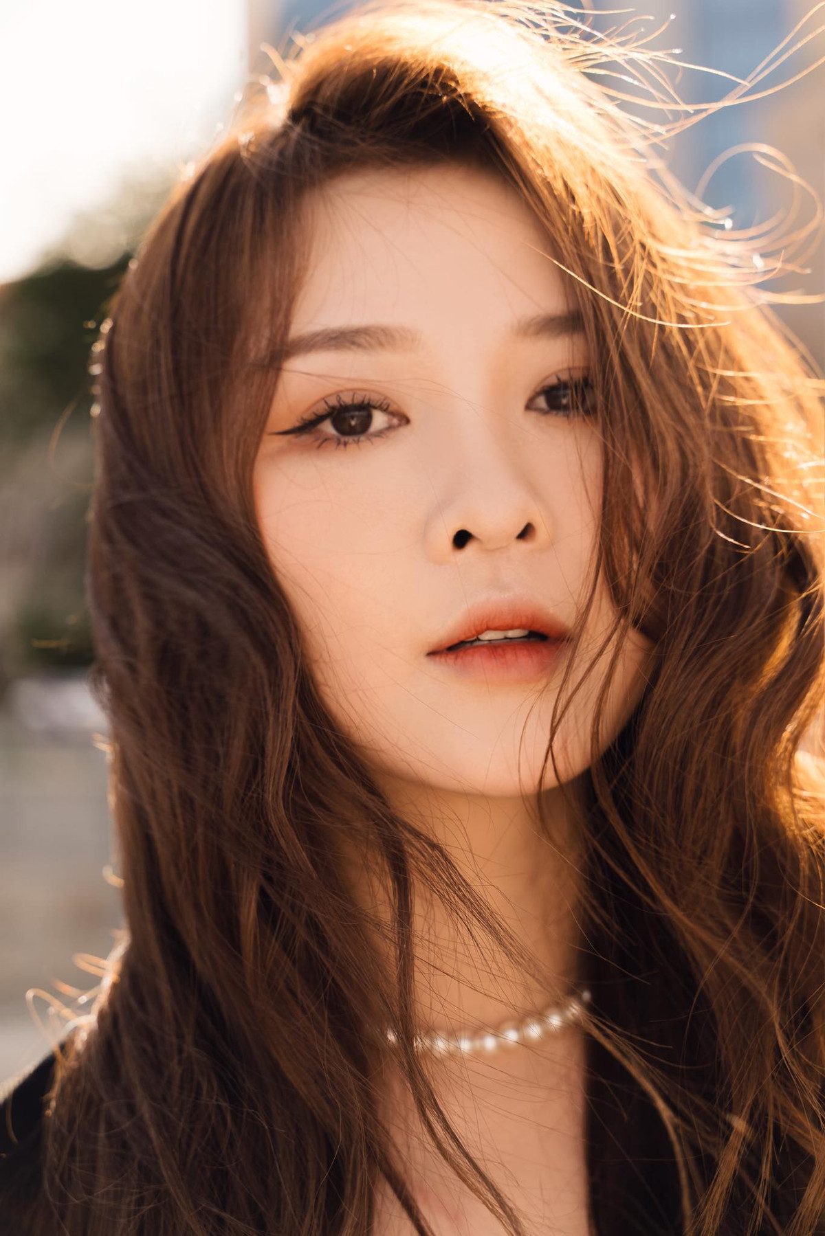 Ribi Sachi tham gia nhiều MV của Lý Hải, Chi Dân, Khánh Phương... Cô là người đồng thành lập nhóm FAP TV và hiện có lượt theo dõi lớn trên các tài khoản mạng.