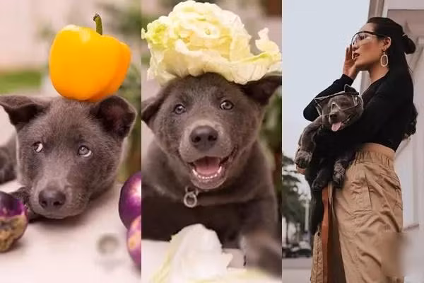 Thời điểm mới nổi idol Nguyễn Văn Dúi còn được mời làm mẫu ảnh thời trang kiêm "đại sứ rau củ quả".