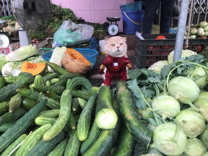 Người ta ở nhà ăn pate với cá, còn phận "boss" rơi nhầm vào "sen" rỗng túi thì chỉ có thế này thôi.