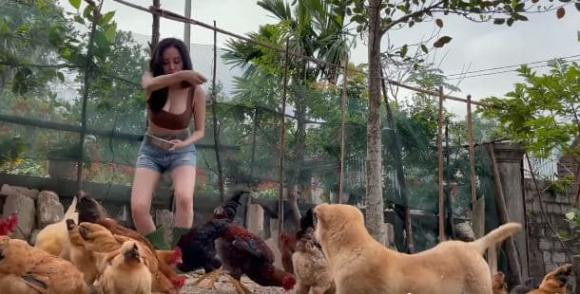 Trong thời gian về quê Nghệ An đón Tết, gái xinh này gây sốt với các khoảnh khắc cuốc đất và cho gà ăn.
