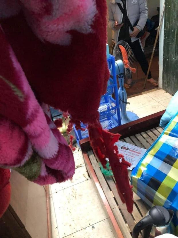 Đồ đạc bị những vị khách không mời mà đến cắn nát khiến ai nhìn cũng ngán ngẩm.