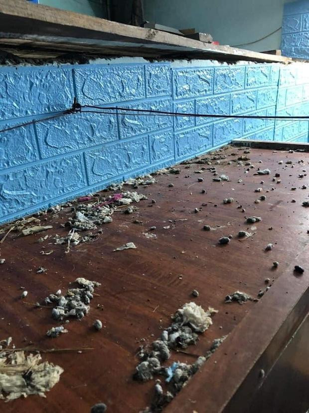 Đồ đạc trong căn phòng đều bị chuột, gián cắn nát sau 9 tháng nghỉ dịch bệnh.