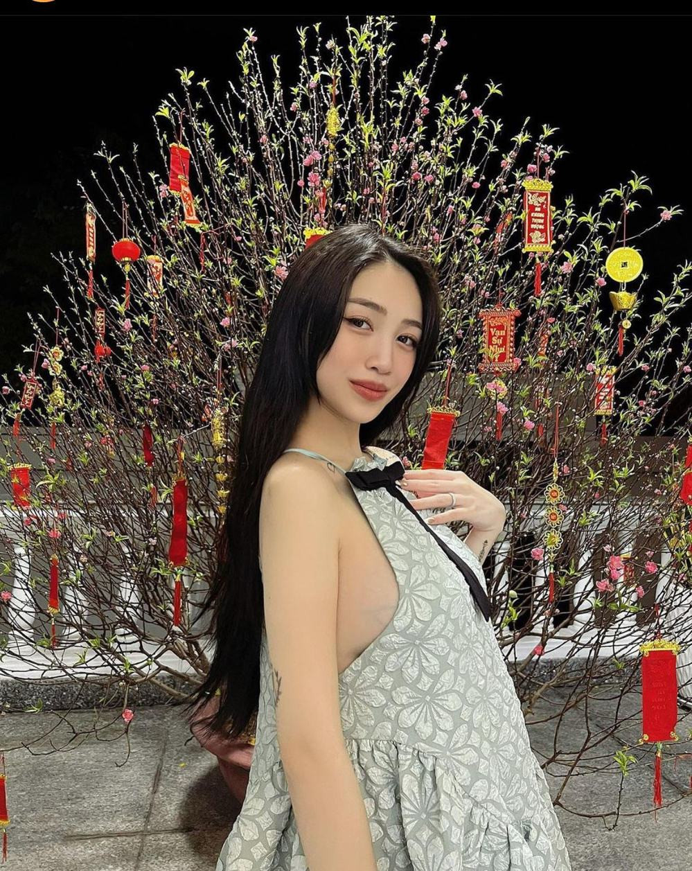 Joyce Phạm (Phạm Trần Nguyễn Minh Anh) là ái nữ của đại gia Minh Nhựa, hiện cô đang được cộng đồng mạng đặc biệt quan tâm nhờ diện mạo xinh đẹp khi mang thai lần hai.