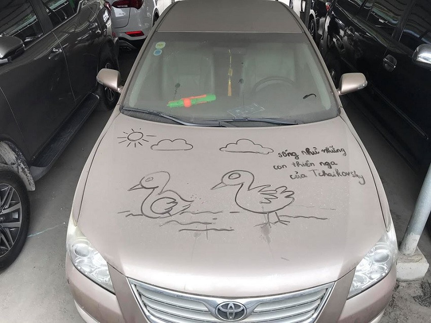 Những con thiên nga ngộ nghĩnh được ai đó vẽ trên trên lớp bụi của xe ô tô.