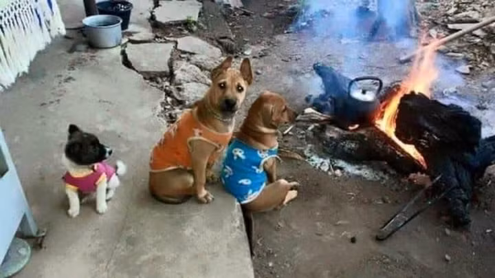 Nhà nghèo chỉ có mấy manh áo rách nên phải đến gần bếp để sưởi ấm.