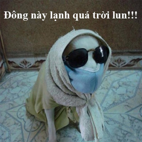 Phong cách "ninja" chống chọi cái lạnh của mùa đông đã không còn xa lạ gì. Ảnh: Tổng hợp