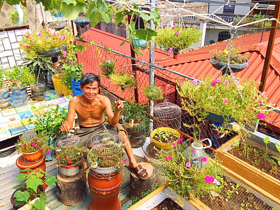 Góc vườn nhà chị Nhung trồng khá nhiều loại hoa mười giờ như: hoa mười giờ kép, hoa mười giờ đơn và một số loại hoa mười giờ khác.