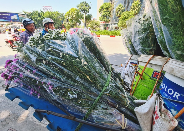 Theo các tiểu thương, do đang là thời điểm đầu mùa, nhiều người không chỉ dùng hoa cúc họa mi để cắm trưng bày mà còn dùng hoa như “phụ kiện” để chụp ảnh nên bán loại hoa này rất chạy, có buổi sáng một tiểu thương nhập khoảng 60 bó hoa cúc họa mi, đến trưa tiếp tục lấy thêm hoa để gối vào.