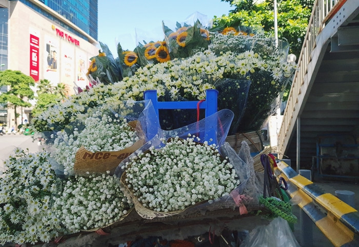 Cùng với các loại hoa, màu trắng muốt của cúc họa mi len lỏi trên đường phố Hà Nội.