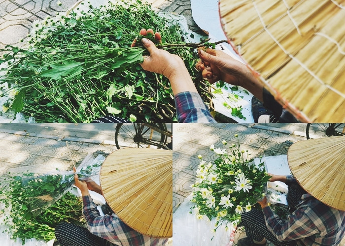Để phục vụ khách hàng, người bán hàng rong nhập hoa liên tục. Mỗi bó cúc họa mi đều được cắt, tỉa khéo léo trước khi bán cho khách.