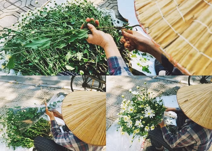 Để phục vụ khách hàng, người bán hàng rong nhập hoa liên tục. Mỗi bó cúc họa mi đều được cắt, tỉa khéo léo trước khi bán cho khách.