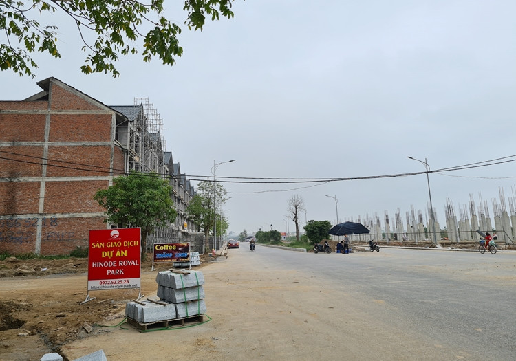 Vietracimex “lot xac” du an Kim Chung - Di Trach thanh Hinode Royal Park... rao ban ram ro?-Hinh-15