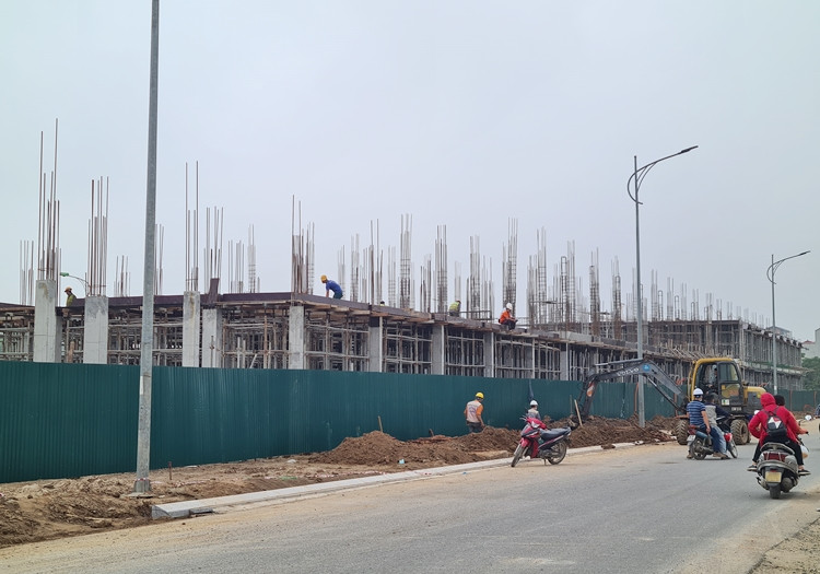 Vietracimex “lot xac” du an Kim Chung - Di Trach thanh Hinode Royal Park... rao ban ram ro?-Hinh-13