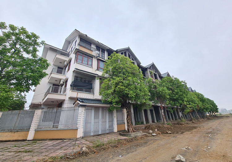 Vietracimex “lot xac” du an Kim Chung - Di Trach thanh Hinode Royal Park... rao ban ram ro?-Hinh-12