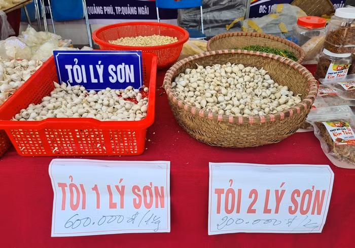 Tỏi Lý Sơn là nhãn hiệu địa lý của loại tỏi được trồng ở huyện đảo Lý Sơn. Tỏi Lý Sơn đã trở thành đặc sản nổi tiếng đã trở thành thương hiệu và nhãn hiệu của vùng.