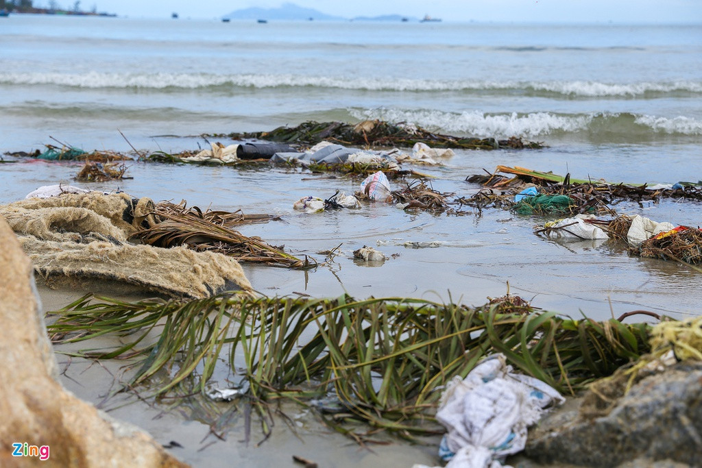 Người dân phường Mân Thái (quận Sơn Trà, TP Đà Nẵng) cho biết sau mỗi đợt bão, lũ, khi nước rút thì có nhiều loại rác thải trôi vào bờ.